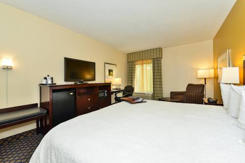 Imagen de la habitación del Hotel Hampton Inn By Hilton Petersburg Ft. Gregg Adams. Foto 12