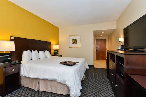 Imagen de la habitación del Hotel Hampton Inn By Hilton Petersburg Ft. Gregg Adams. Foto 14