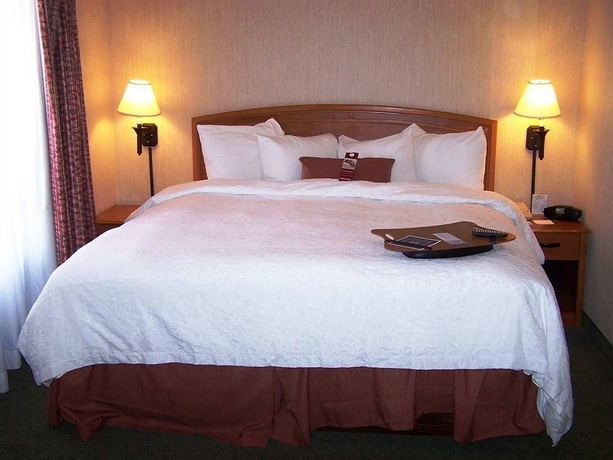 Imagen de la habitación del Hotel Hampton Inn By Hilton Saltillo Airport Area. Foto 9