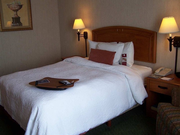 Imagen de la habitación del Hotel Hampton Inn By Hilton Saltillo Airport Area. Foto 13