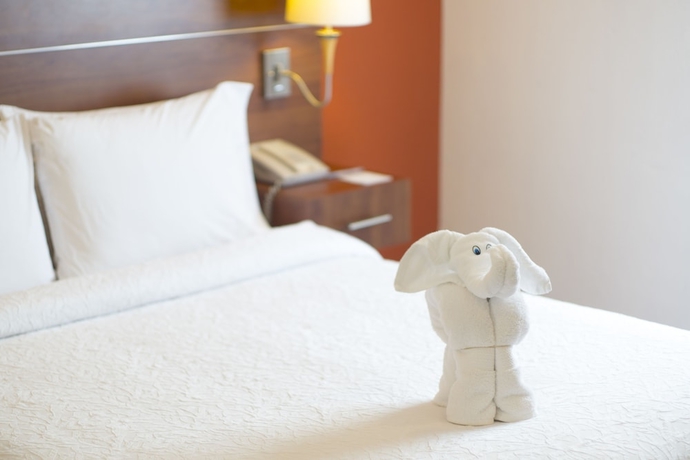 Imagen de la habitación del Hotel Hampton Inn By Hilton San Juan Del Rio. Foto 3