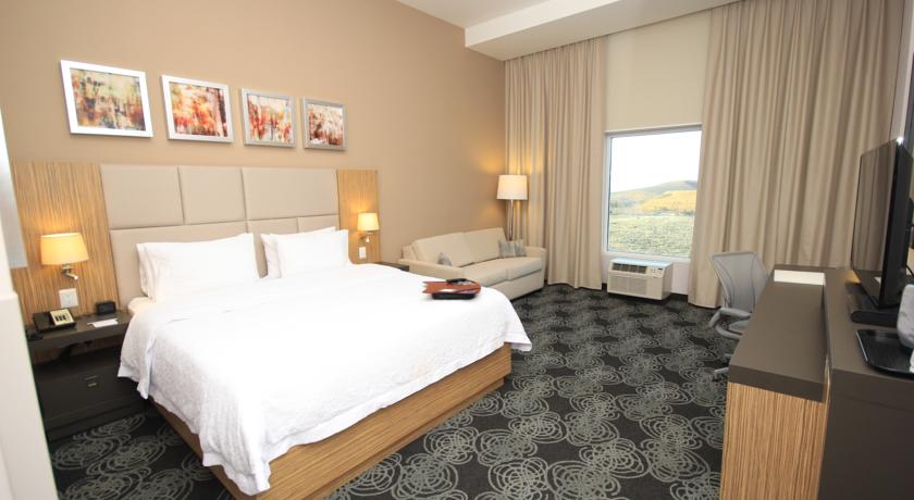 Imagen general del Hotel Hampton Inn By Hilton Zacatecas. Foto 1