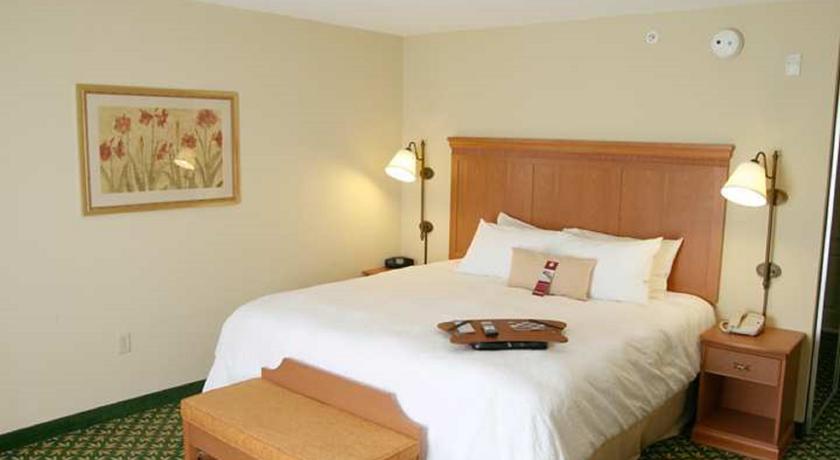 Imagen general del Hotel Hampton Inn Canon City. Foto 11