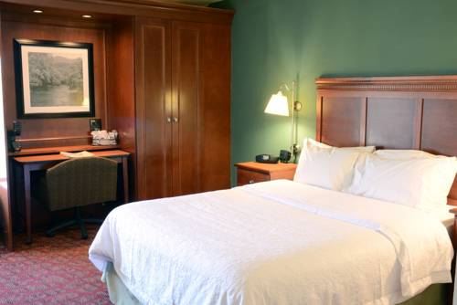 Imagen de la habitación del Hotel Hampton Inn Charleston Downtown Civic Center. Foto 3