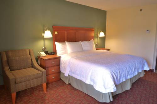 Imagen de la habitación del Hotel Hampton Inn Charleston Downtown Civic Center. Foto 4