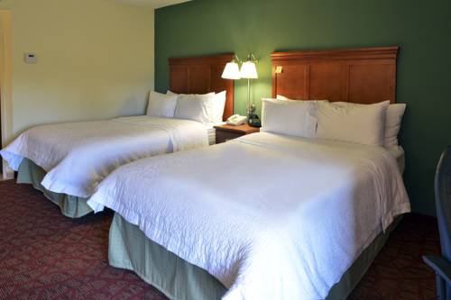 Imagen de la habitación del Hotel Hampton Inn Charleston Downtown Civic Center. Foto 5