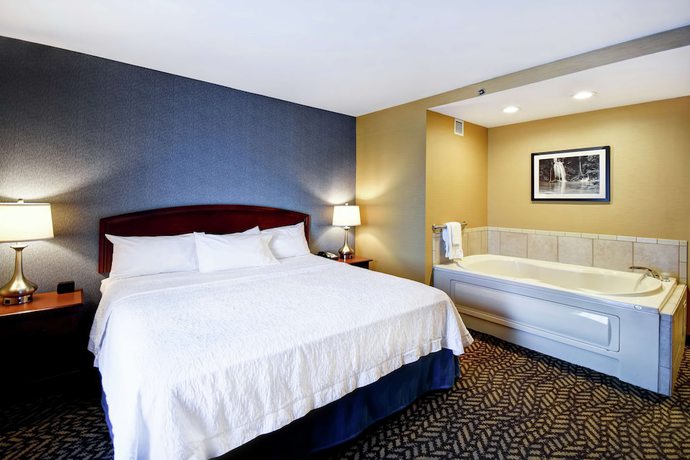 Imagen de la habitación del Hotel Hampton Inn Chicopee/springfield. Foto 15