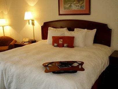 Imagen de la habitación del Hotel Hampton Inn Clemson-university Area. Foto 5