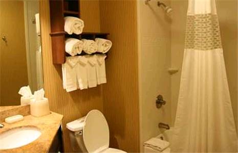 Imagen de la habitación del Hotel Hampton Inn Clemson-university Area. Foto 6