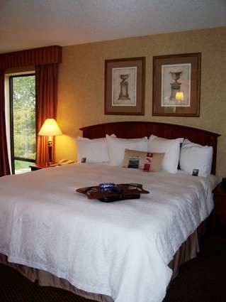 Imagen de la habitación del Hotel Hampton Inn Clinton- New Jersey. Foto 5