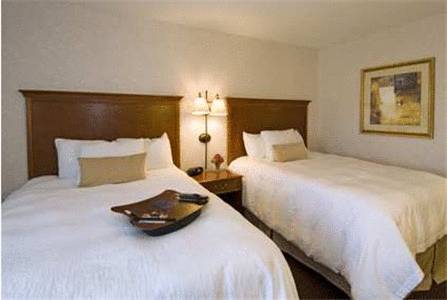 Imagen de la habitación del Hotel Hampton Inn Columbus - Airport. Foto 3