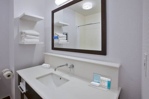 Imagen de la habitación del Hotel Hampton Inn Commerce Novi. Foto 5