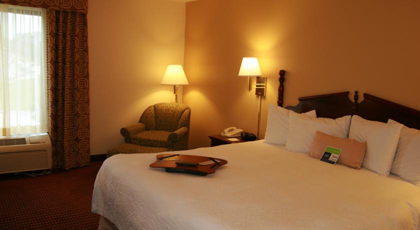 Imagen general del Hotel Hampton Inn Conyers. Foto 6