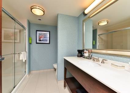 Imagen de la habitación del Hotel Hampton Inn Corning/Painted Post. Foto 9