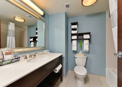 Imagen de la habitación del Hotel Hampton Inn Corning/Painted Post. Foto 10