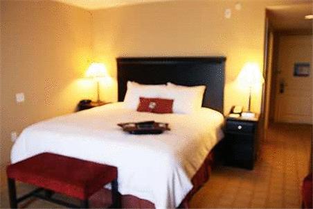 Imagen general del Hotel Hampton Inn Dade City - Zephyrhills. Foto 4