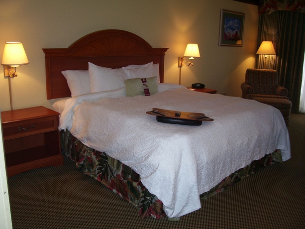 Imagen de la habitación del Hotel Hampton Inn Daytona Shores - Oceanfront. Foto 7
