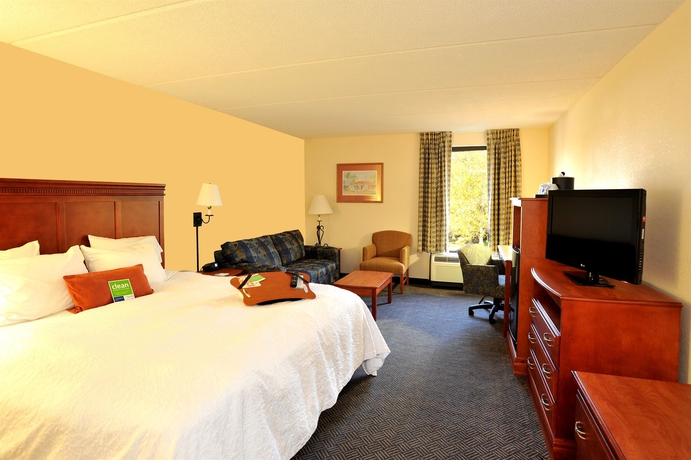 Imagen de la habitación del Hotel Hampton Inn Daytona/ormond Beach. Foto 12