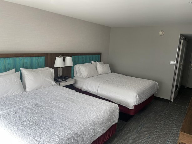 Imagen de la habitación del Hotel Hampton Inn Detroit Southfield. Foto 7