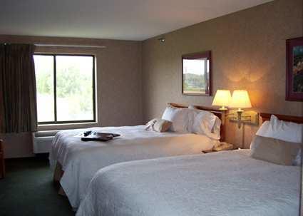 Imagen general del Hotel Hampton Inn Detroit/Belleville-Airport Area. Foto 7