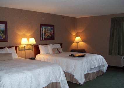 Imagen general del Hotel Hampton Inn Detroit/Belleville-Airport Area. Foto 4