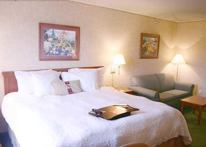 Imagen general del Hotel Hampton Inn Detroit/Belleville-Airport Area. Foto 6