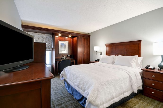 Imagen de la habitación del Hotel Hampton Inn Detroit/Northville. Foto 2