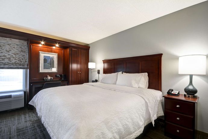 Imagen de la habitación del Hotel Hampton Inn Detroit/Northville. Foto 3