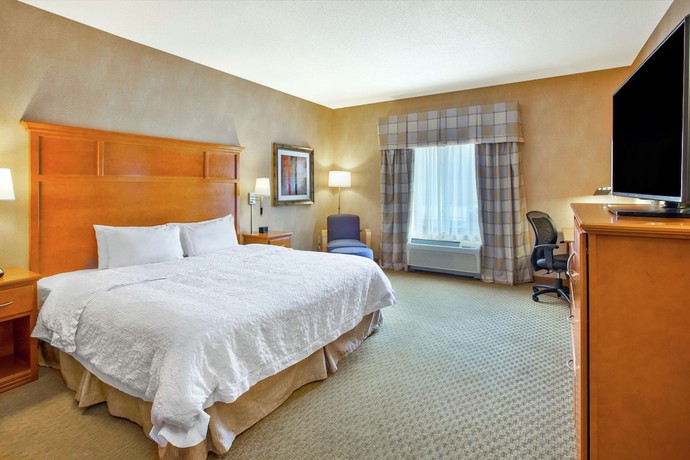 Imagen de la habitación del Hotel Hampton Inn Detroit/Utica-Shelby Township. Foto 12