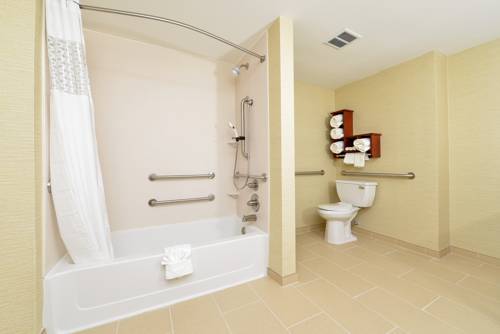 Imagen de la habitación del Hotel Hampton Inn Detroit/auburn Hills South. Foto 3