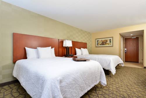 Imagen de la habitación del Hotel Hampton Inn Detroit/auburn Hills South. Foto 7