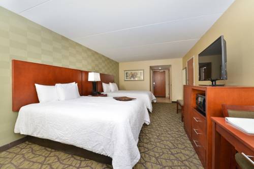 Imagen de la habitación del Hotel Hampton Inn Detroit/auburn Hills South. Foto 8