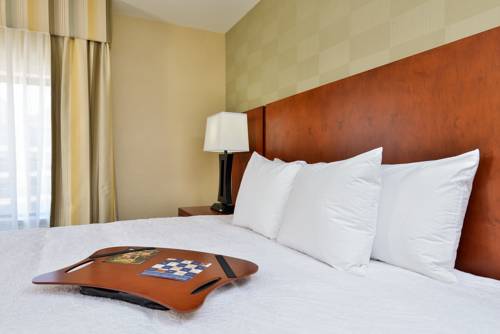 Imagen de la habitación del Hotel Hampton Inn Detroit/auburn Hills South. Foto 9