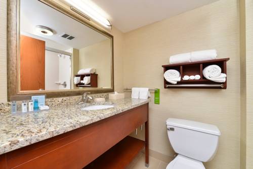 Imagen de la habitación del Hotel Hampton Inn Detroit/auburn Hills South. Foto 10