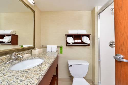 Imagen de la habitación del Hotel Hampton Inn Detroit/auburn Hills South. Foto 11