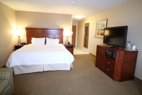 Imagen de la habitación del Hotel Hampton Inn Detroit/auburn Hills-north. Foto 12