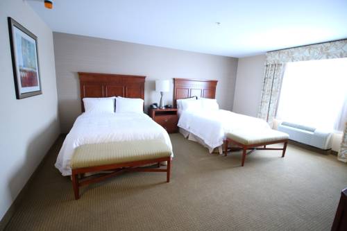 Imagen de la habitación del Hotel Hampton Inn Detroit/auburn Hills-north. Foto 14