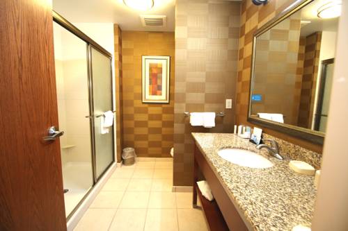 Imagen de la habitación del Hotel Hampton Inn Detroit/auburn Hills-north. Foto 15