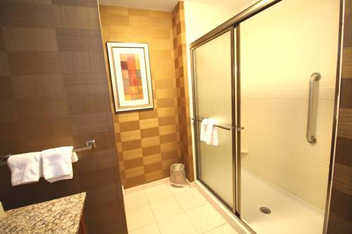 Imagen de la habitación del Hotel Hampton Inn Detroit/auburn Hills-north. Foto 16