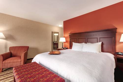 Imagen de la habitación del Hotel Hampton Inn Detroit/southgate. Foto 3
