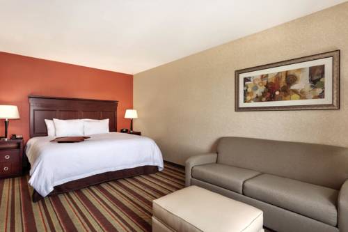Imagen de la habitación del Hotel Hampton Inn Detroit/southgate. Foto 6