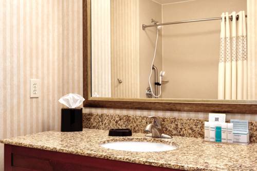 Imagen de la habitación del Hotel Hampton Inn Detroit/southgate. Foto 8
