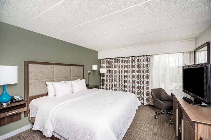 Imagen de la habitación del Hotel Hampton Inn Dover, Dover. Foto 13