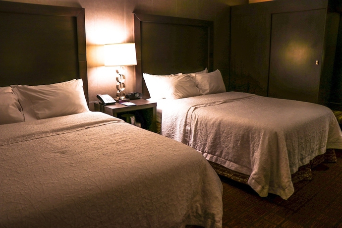 Imagen de la habitación del Hotel Hampton Inn Durango. Foto 5