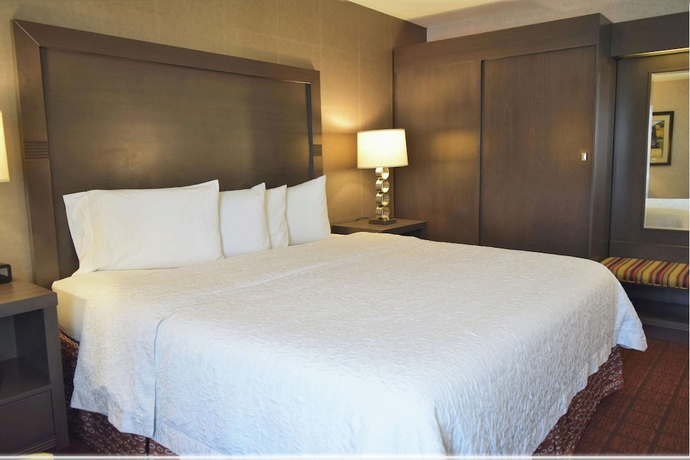 Imagen de la habitación del Hotel Hampton Inn Durango. Foto 6