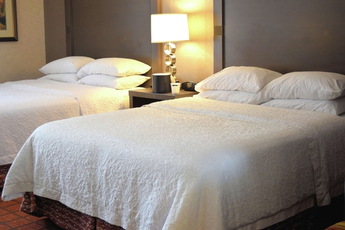 Imagen de la habitación del Hotel Hampton Inn Durango. Foto 10