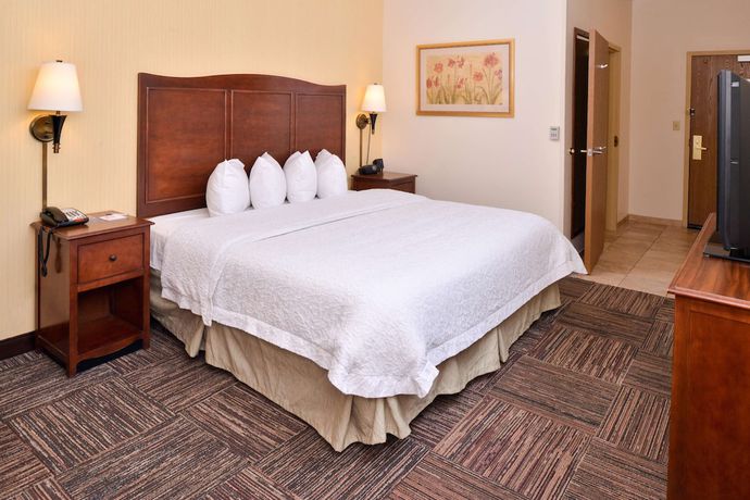 Imagen de la habitación del Hotel Hampton Inn Elkhart IN. Foto 15