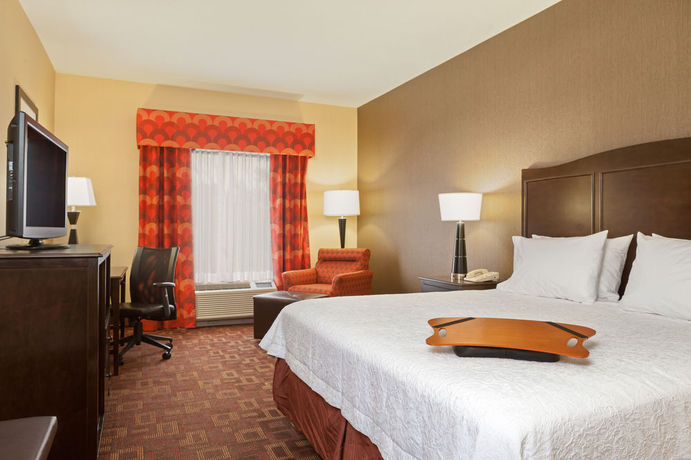 Imagen general del Hotel Hampton Inn Elkton. Foto 10