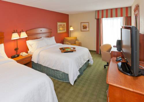 Imagen de la habitación del Hotel Hampton Inn Ellenton/bradenton. Foto 6