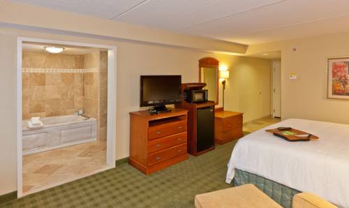 Imagen de la habitación del Hotel Hampton Inn Ellenton/bradenton. Foto 8